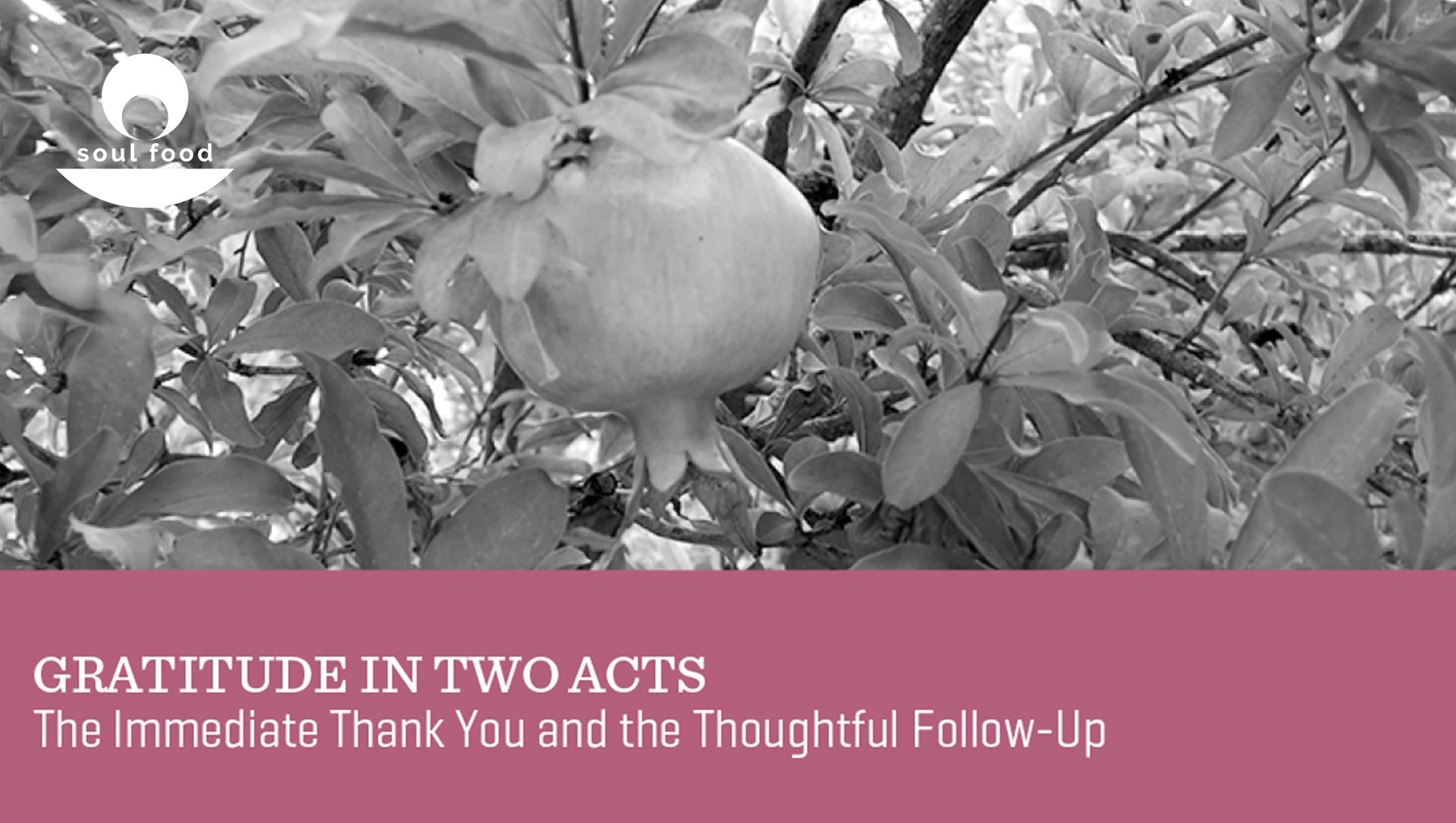 Gratitude in Two Acts